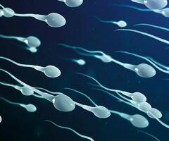 Sie für Spermaspiele gesucht!